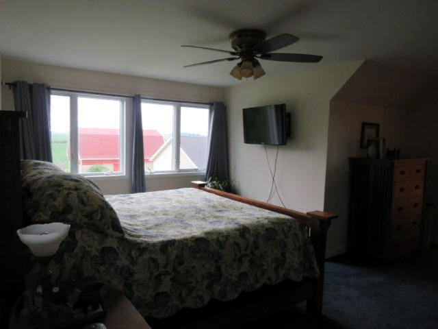 540 West Rockey Weed Road Baroda, MI 49101 - Photo 23 of 59 IMG_0328