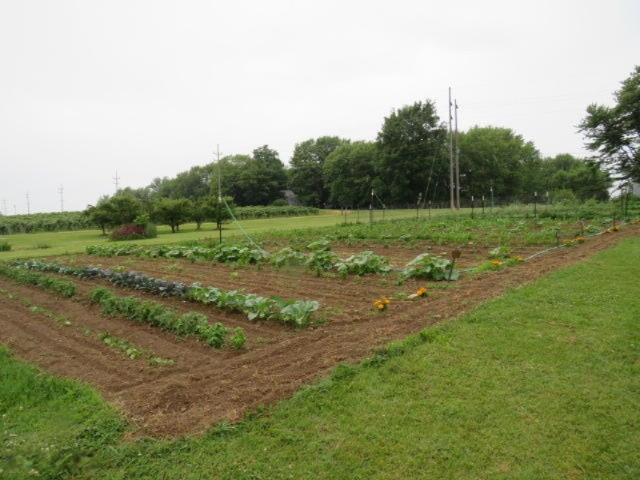 540 West Rockey Weed Road Baroda, MI 49101 - Photo 35 of 59 IMG_0275