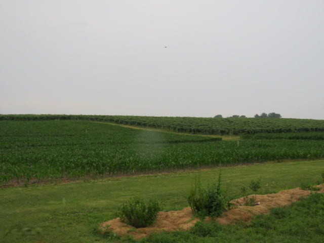 540 West Rockey Weed Road Baroda, MI 49101 - Photo 40 of 59 IMG_0276