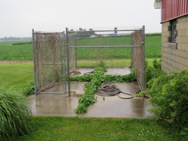540 West Rockey Weed Road Baroda, MI 49101 - Photo 42 of 59 IMG_0282