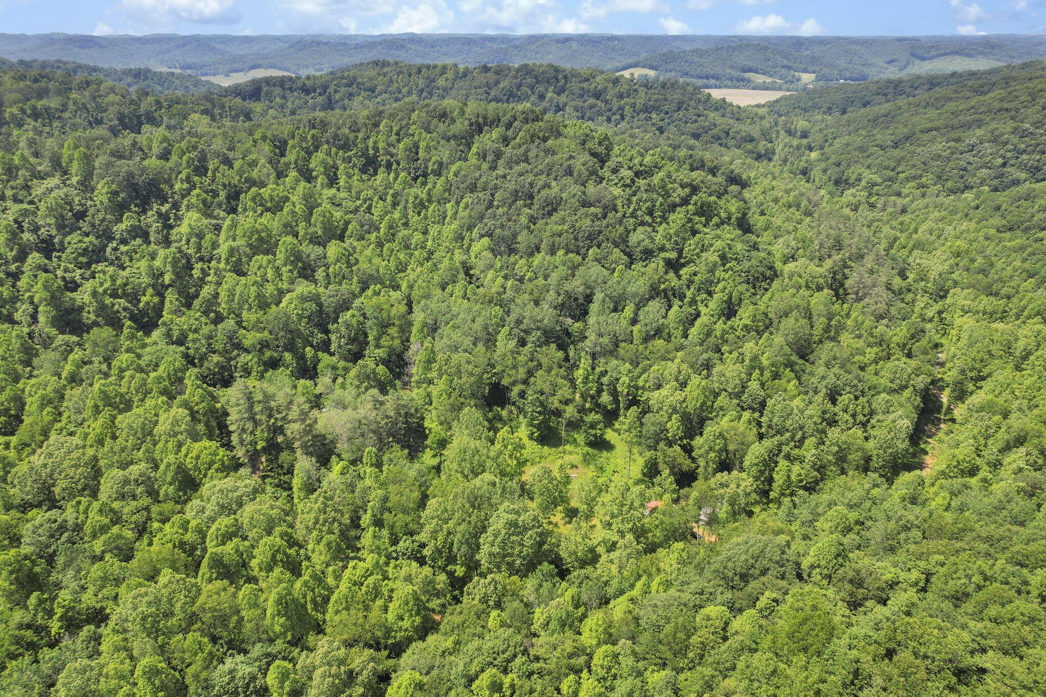 32044 Gibson Hollow Road Londonderry, OH 45647 - Photo 11 of 17 10-web-or-mls-DJI_0445