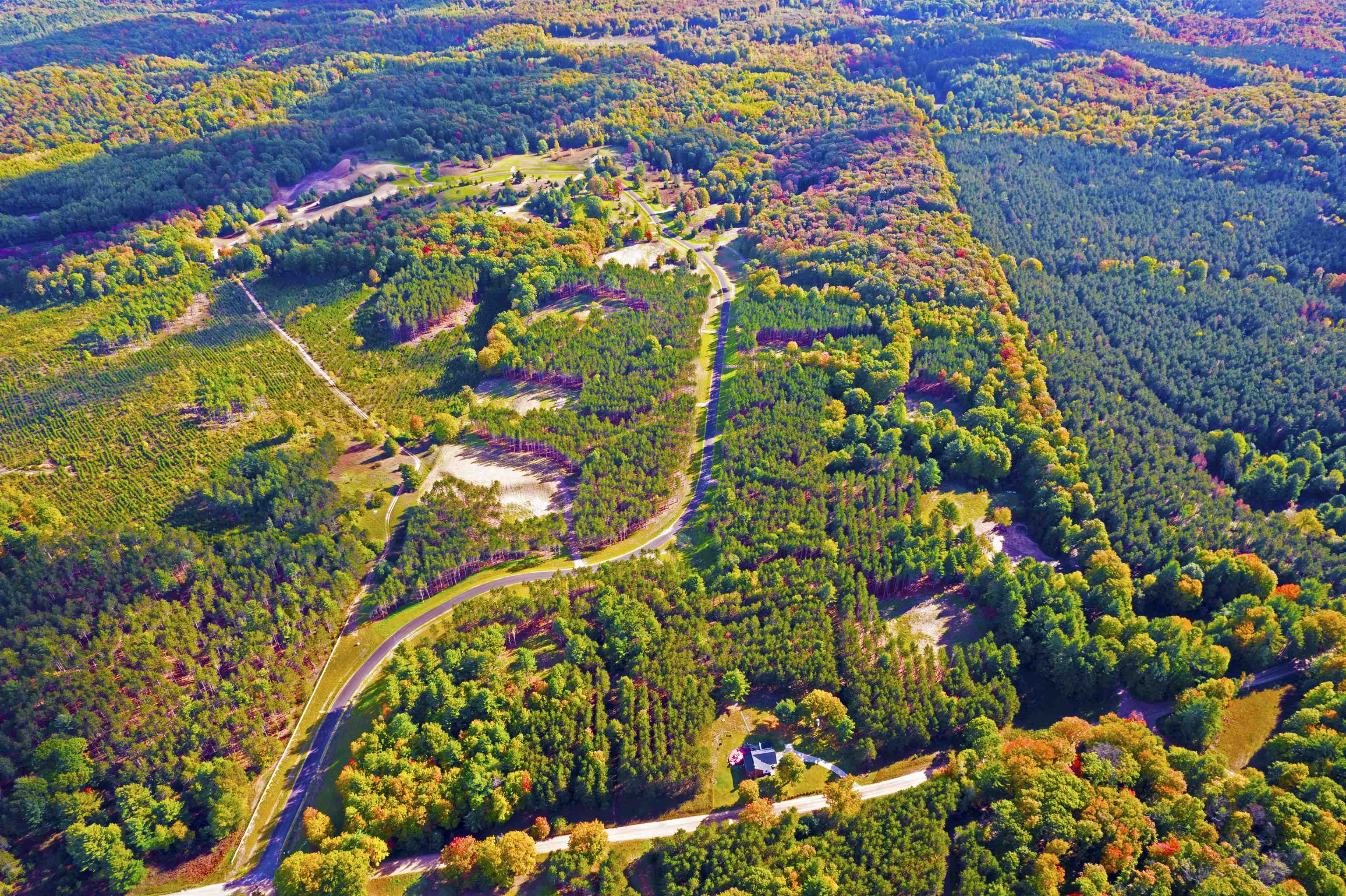 3037 Dockery Road East, Unit LOT 1 WEST Williamsburg, MI 49690 - Photo 9 of 9