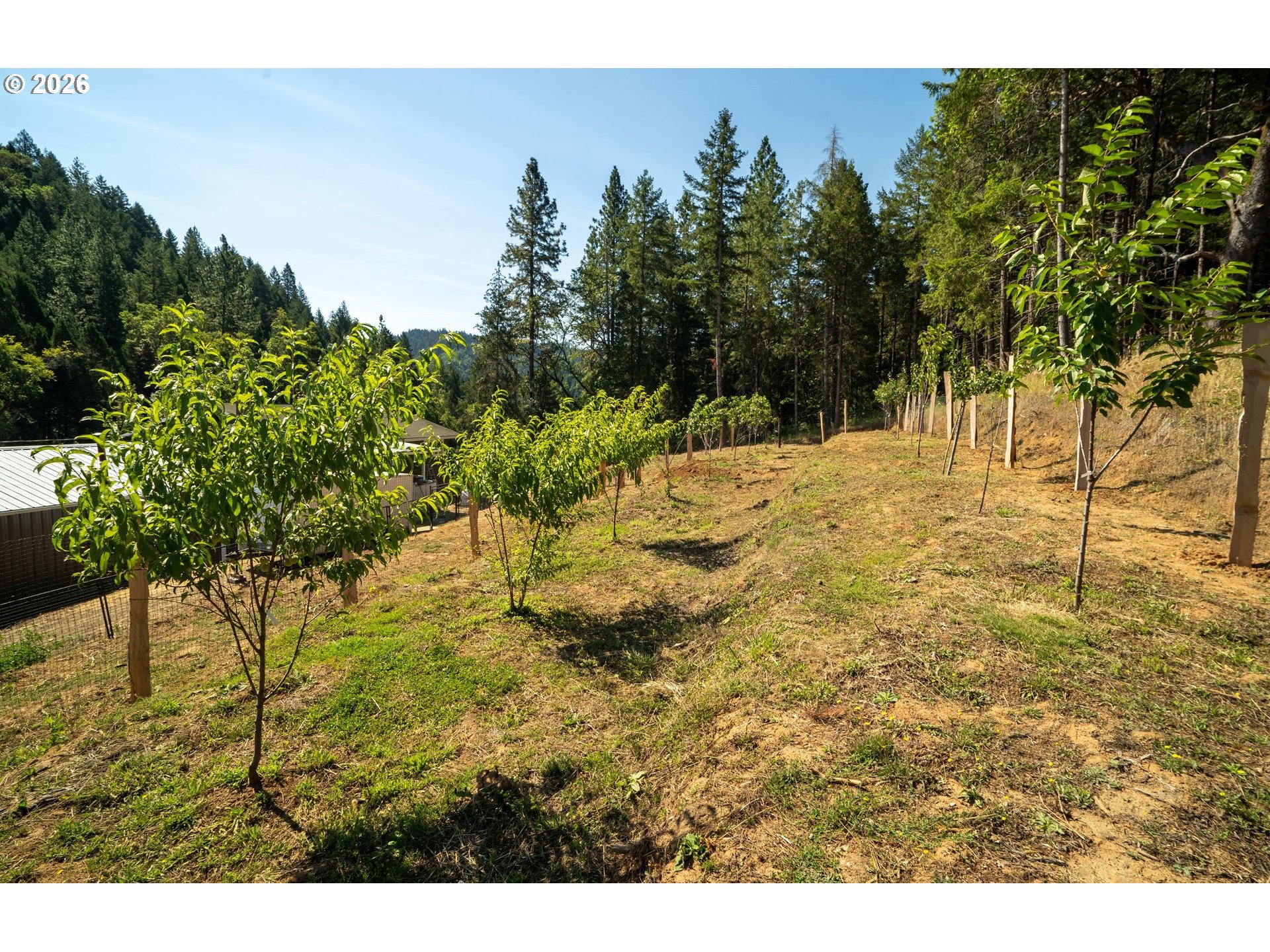 3902 South Myrtle Road Myrtle Creek, OR 97457 - Photo 32 of 44