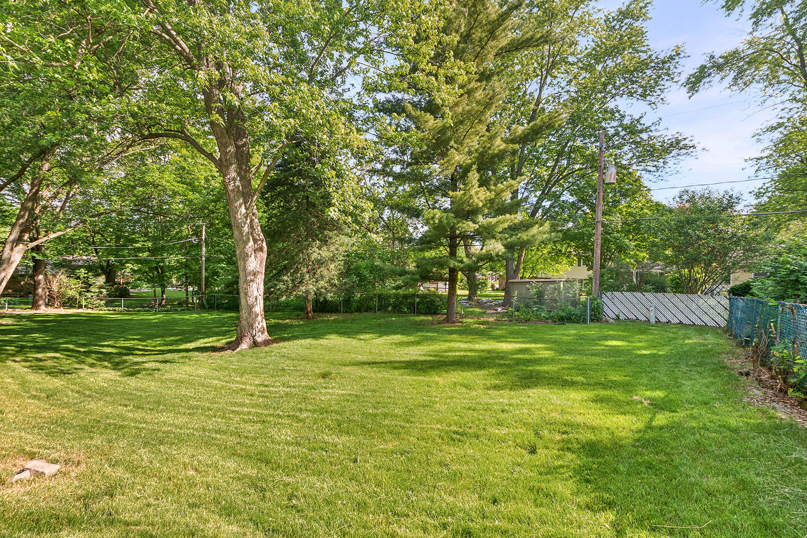 552 Hackberry Road Frankfort, IL 60423 - Photo 22 of 22 a view of a trees in a yard