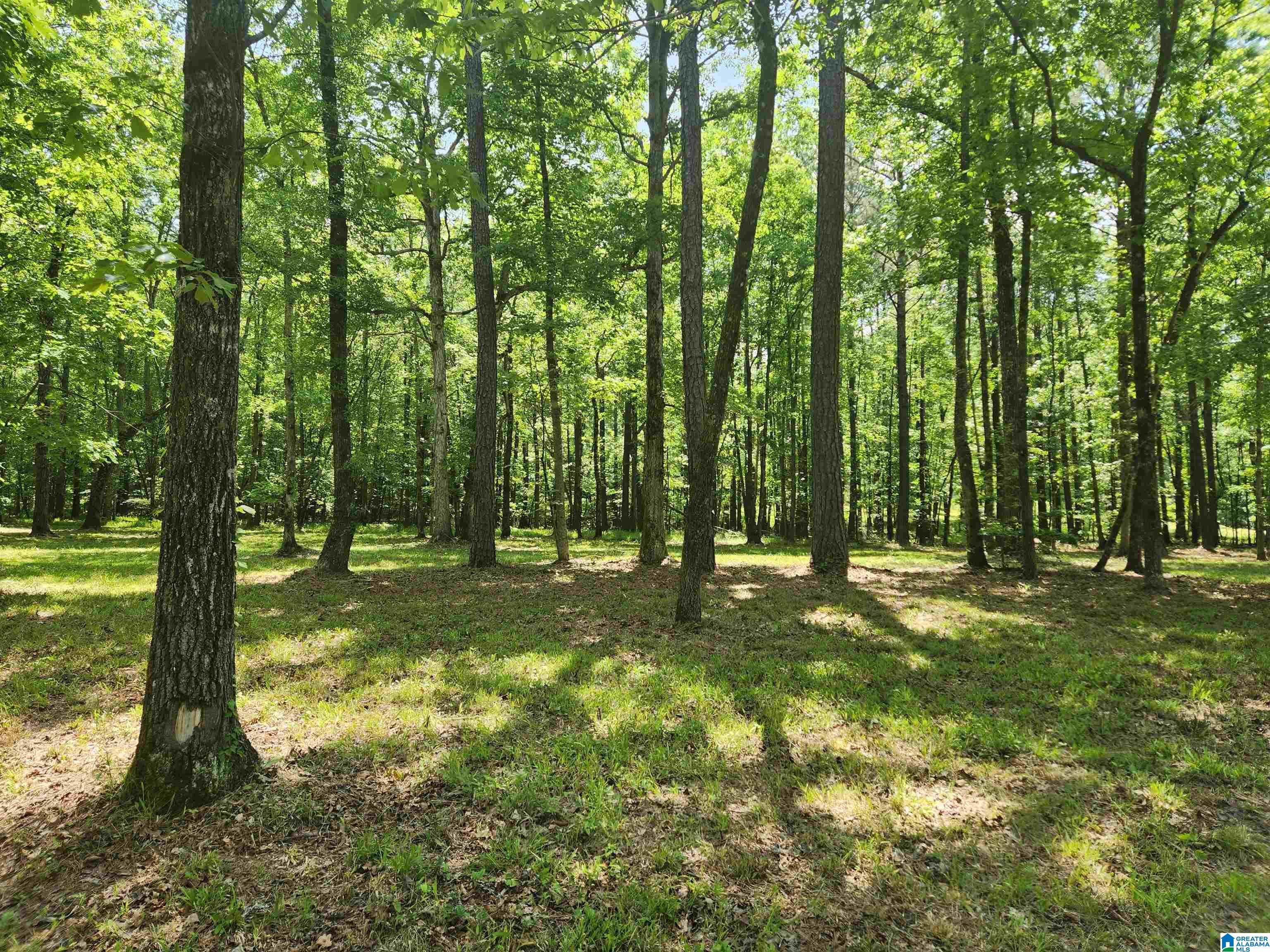 8757 Shades Fall Way, Unit 3 Bessemer, AL 35022 - Photo 5 of 16