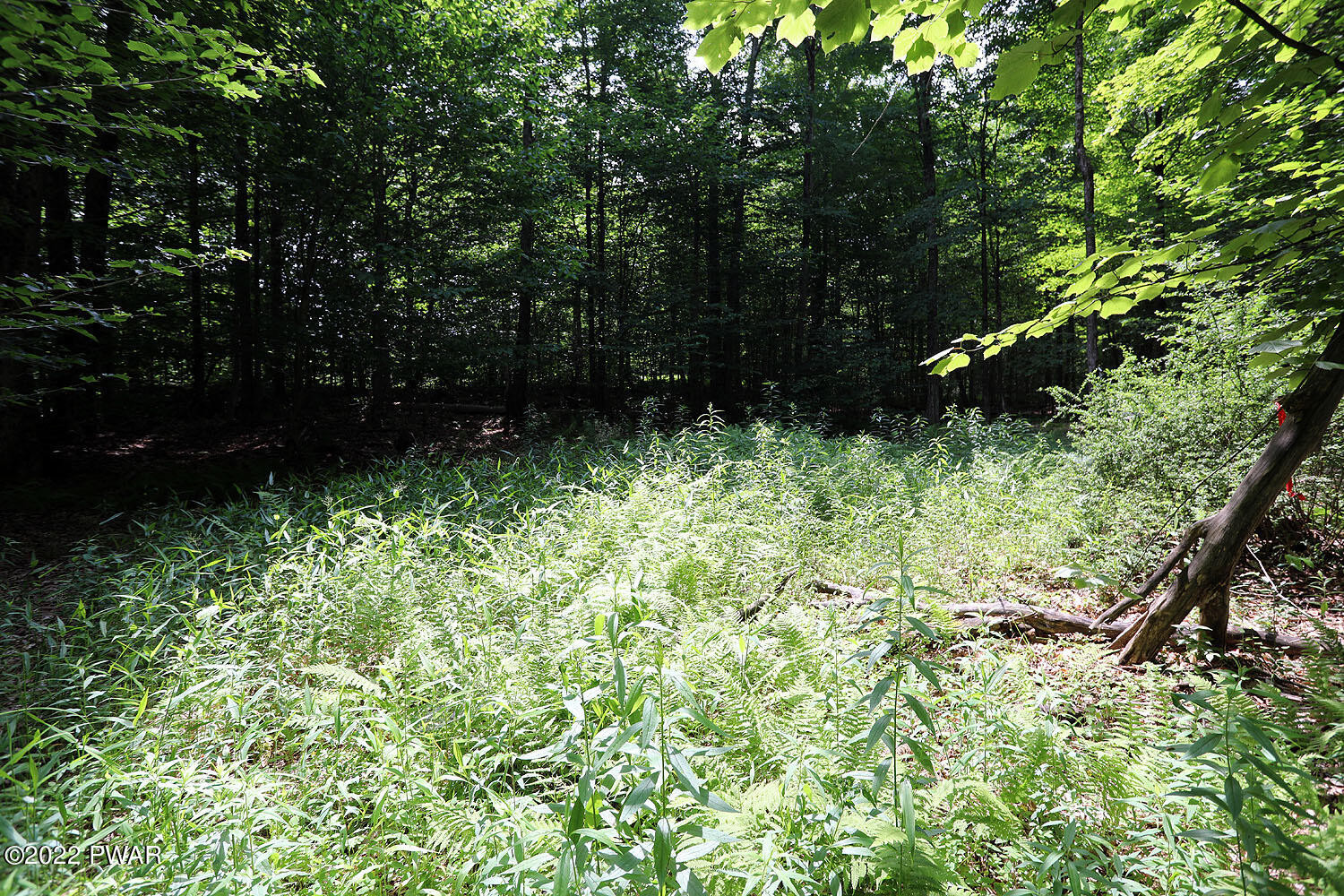 0 Minckler Mountain Road Damascus, PA 18415 - Photo 6 of 43