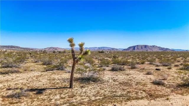 a view of city and mountain