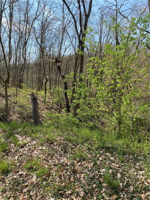 0 Mckrell Road Tarentum, PA 15084 - Photo 4 of 5
