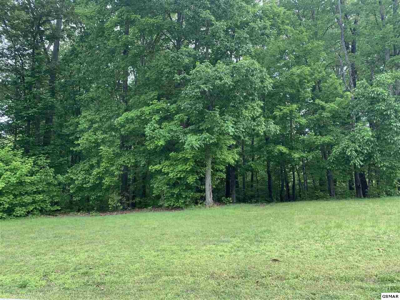 26 Devon Way Road White Pine, TN 37890 - Photo 1 of 5 Gallery Image 1