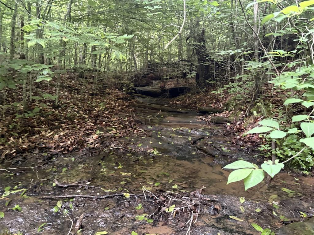 0 Nubbin Ridge Road Reidsville, NC 27320 - Photo 8 of 13