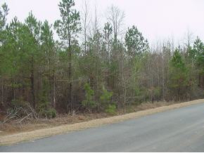 9 Colvin - Kennedy Road Lincolnton, GA 30817 - Photo 1 of 1 Main View