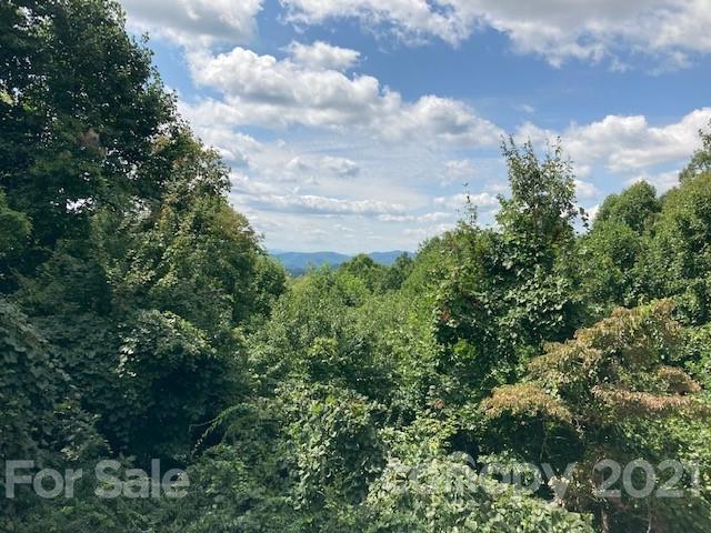 286 Sugar Hollow Road Fairview, NC 28730 - Photo 28 of 35 Gallery Image 28
