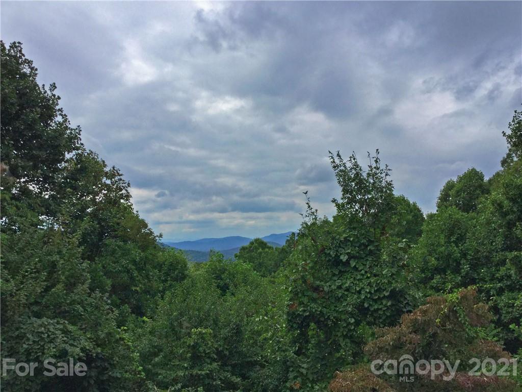 286 Sugar Hollow Road Fairview, NC 28730 - Photo 29 of 35 Gallery Image 29