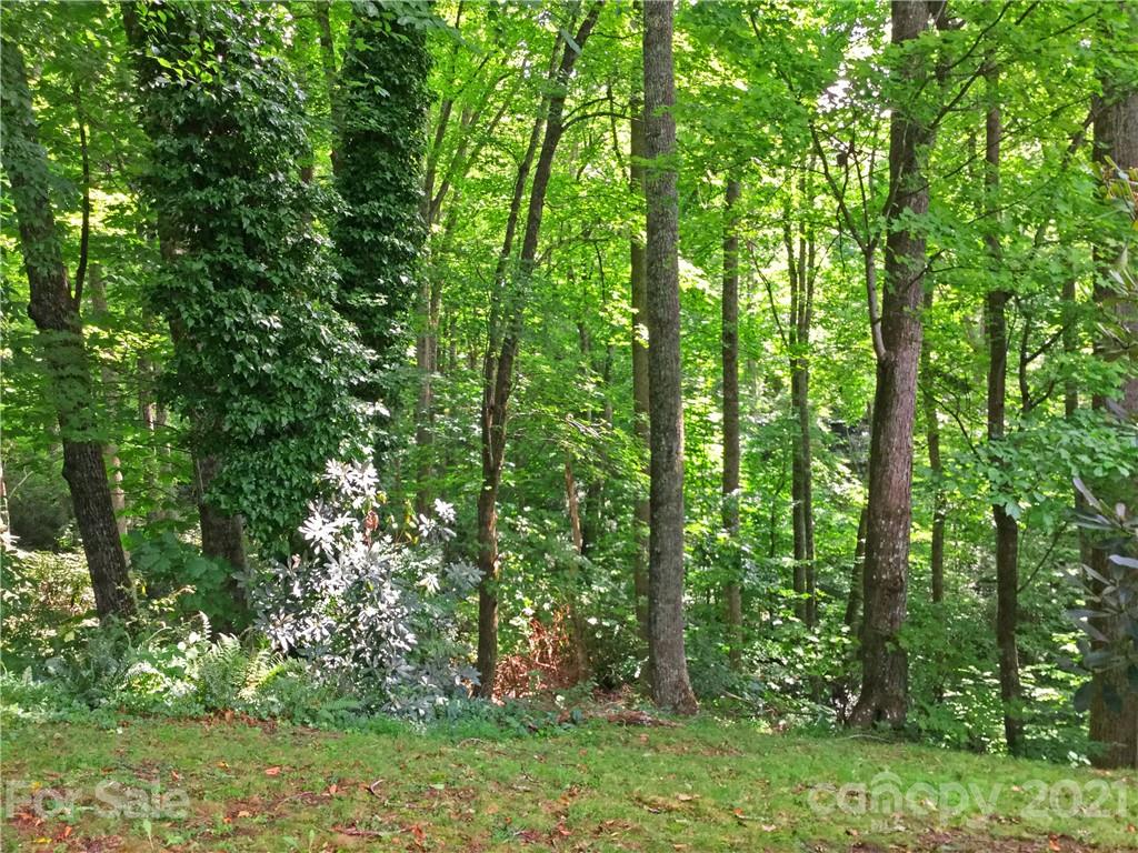 286 Sugar Hollow Road Fairview, NC 28730 - Photo 32 of 35 Gallery Image 32