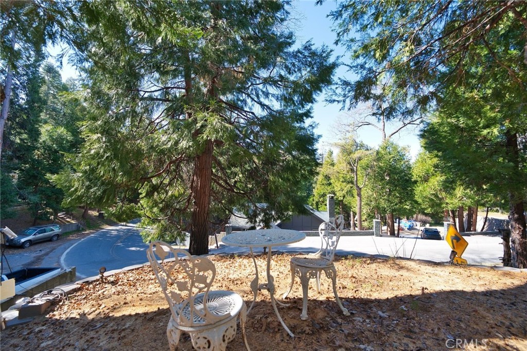 29083 Hook Creek Road Cedar Glen, CA 92321 - Photo 42 of 50 a view of a outdoor space with trees