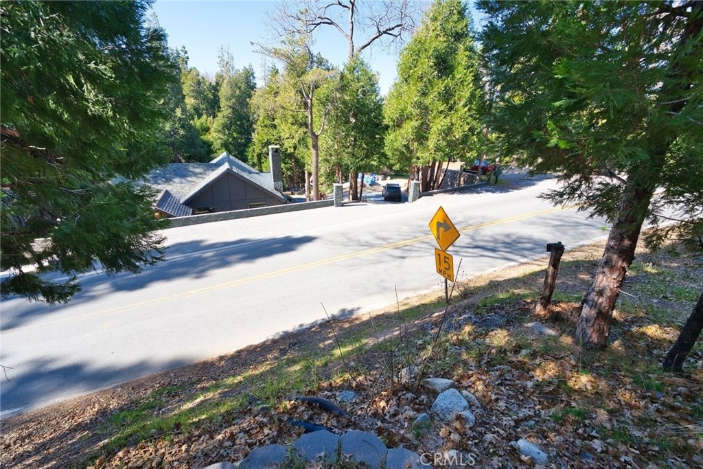 29083 Hook Creek Road Cedar Glen, CA 92321 - Photo 43 of 50 a view of outdoor space and yard