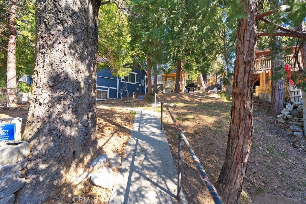 29083 Hook Creek Road Cedar Glen, CA 92321 - Photo 44 of 50 a view of a yard with plants and trees