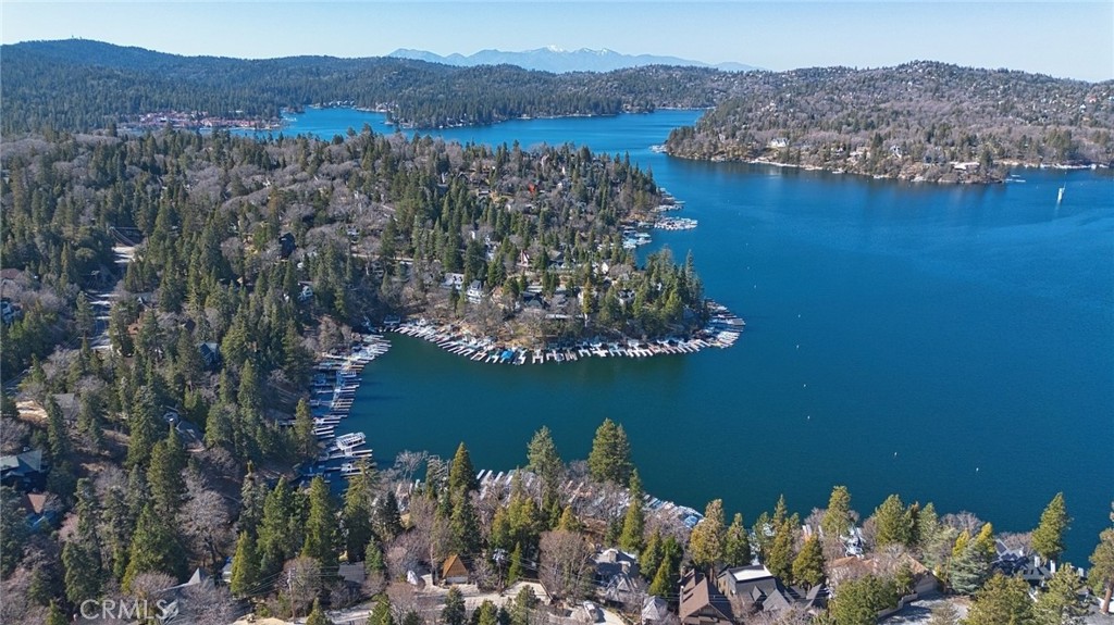 29083 Hook Creek Road Cedar Glen, CA 92321 - Photo 46 of 50 a view of a lake with a mountain in the background