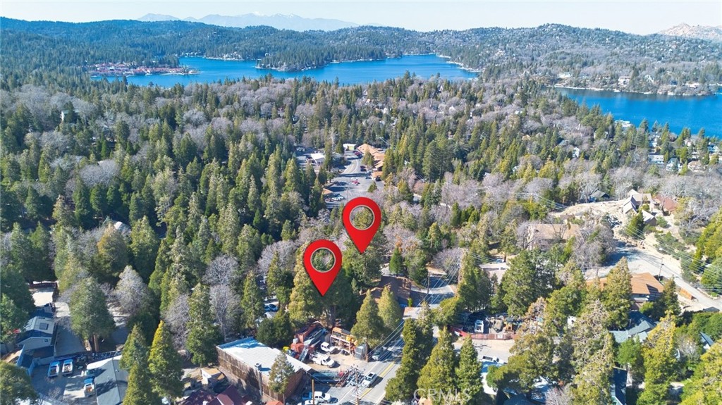 29083 Hook Creek Road Cedar Glen, CA 92321 - Photo 50 of 50