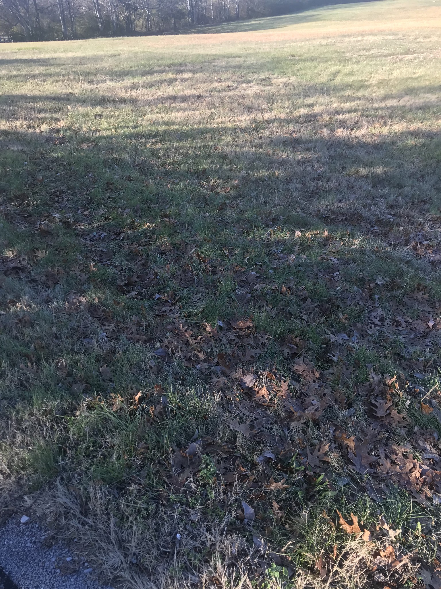 1586 Wade Brown Road Lewisburg, TN 37091 - Photo 2 of 2 a view of an ocean