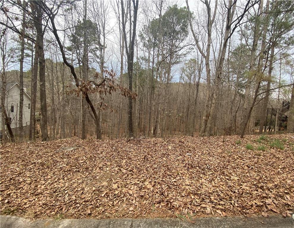 a wooden bench with trees in the background