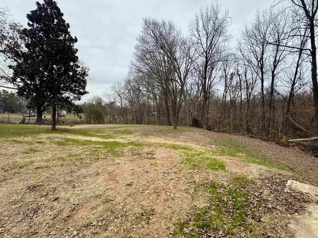 a view of a yard with a trees