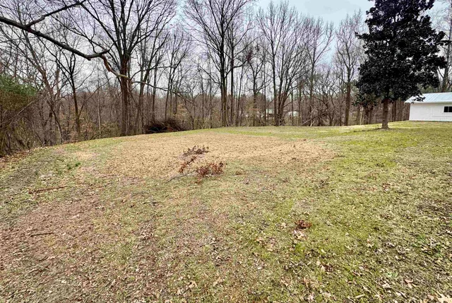 a house view with backyard space
