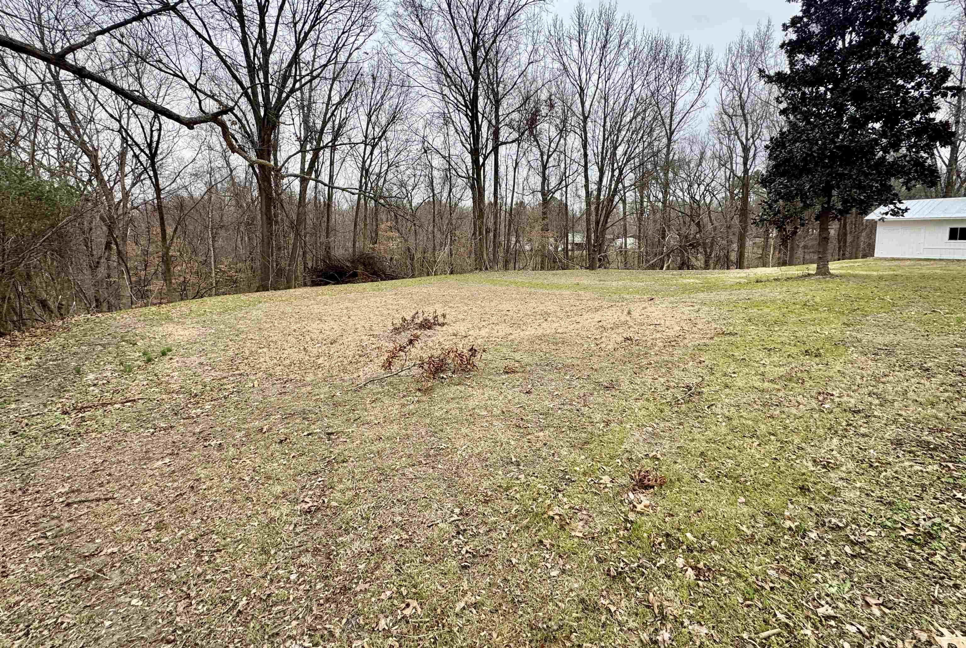 4200 Edith-Nankipoo Road Ripley, TN 38063 - Photo 28 of 29