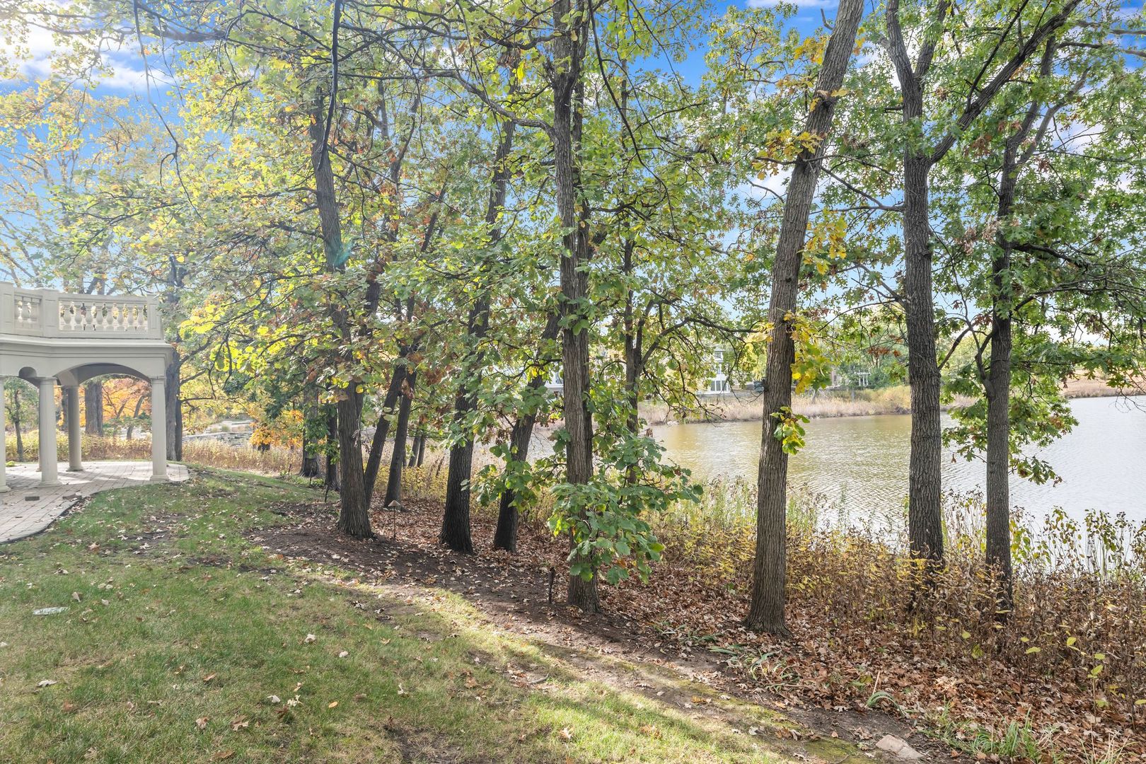 817 Lakeview Lane Burr Ridge, IL 60527 - Photo 20 of 69 a backyard of a house with lots of green space