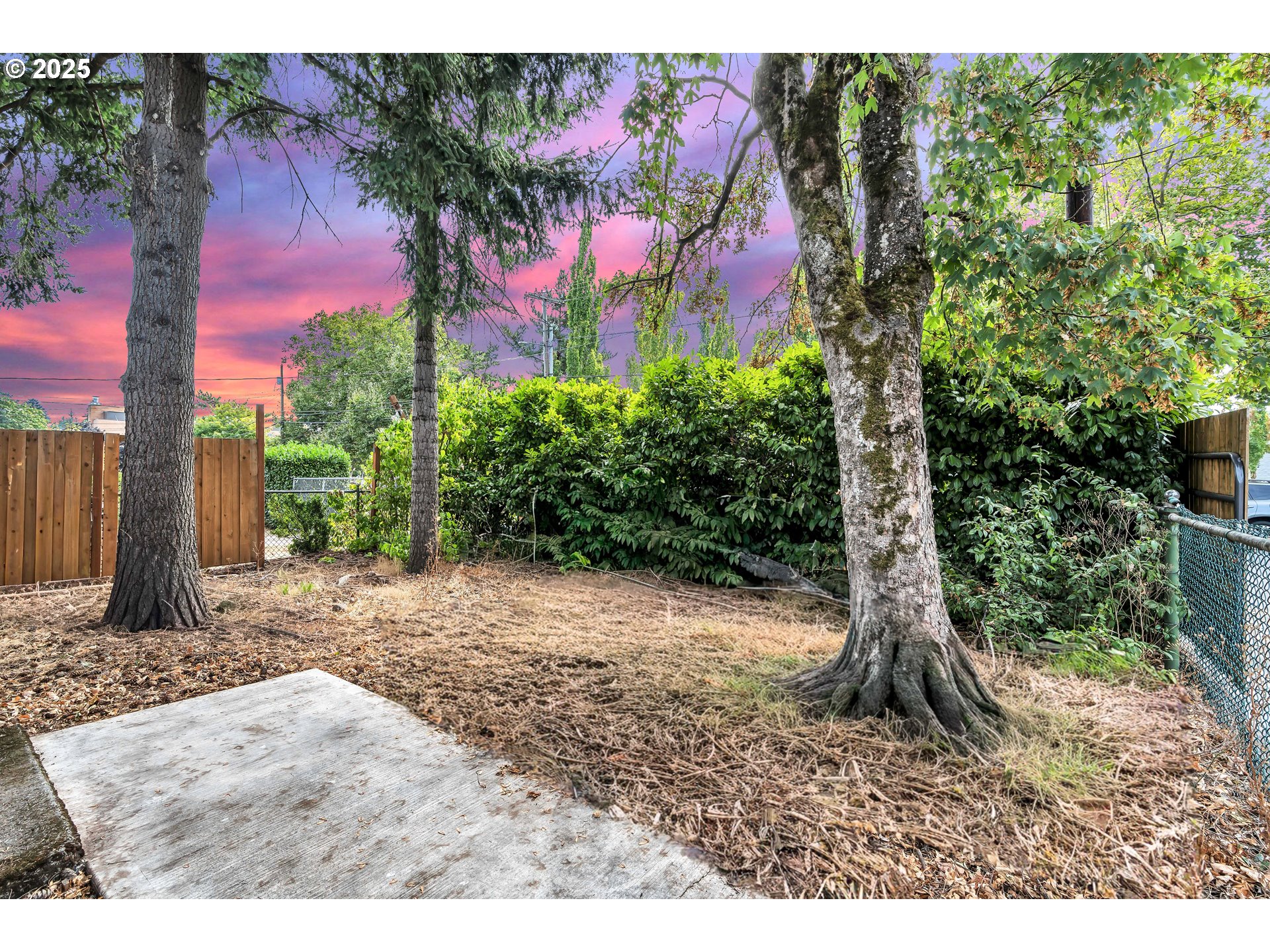 8451 Southeast Bush Street Portland, OR 97266 - Photo 4 of 47 a backyard of a house with lots of green space