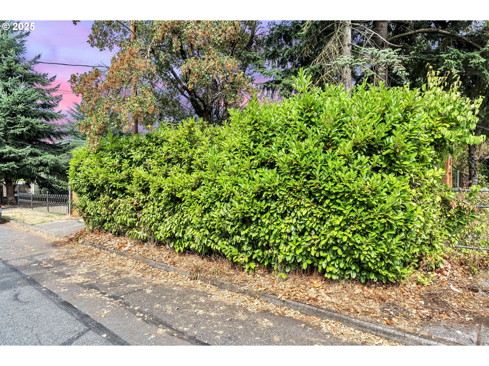 8451 Southeast Bush Street Portland, OR 97266 - Photo 41 of 47 a view of a garden with plants