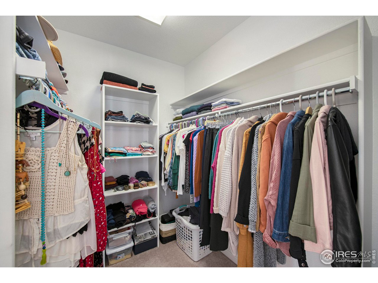 4501 Nelson Road, Unit 2102 Longmont, CO 80503 - Photo 22 of 32 Huge walk-in closet