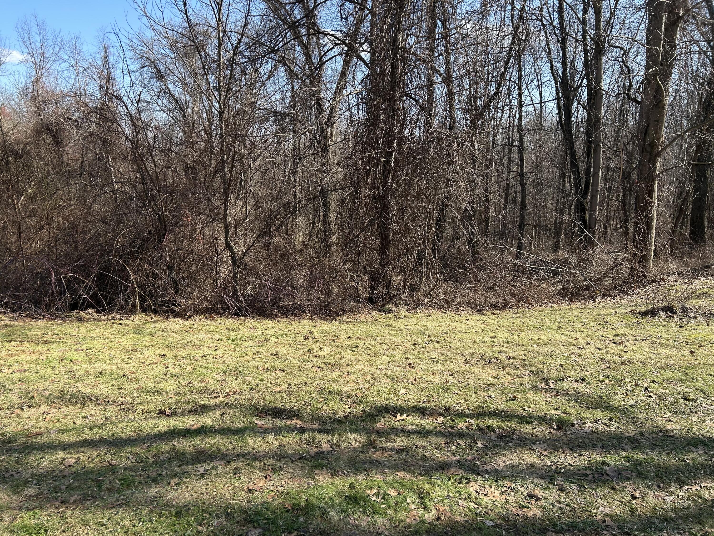 15033 Millard Road Three Rivers, MI 49093 - Photo 3 of 7 IMG_3028