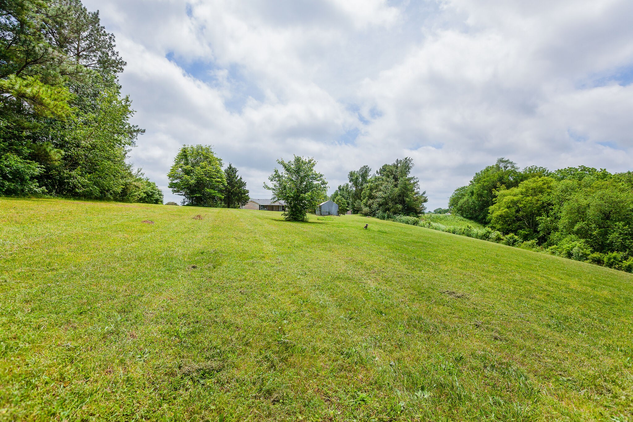 9580 Mullens Road Arrington, TN 37014 - Photo 42 of 50 Gallery Image 42