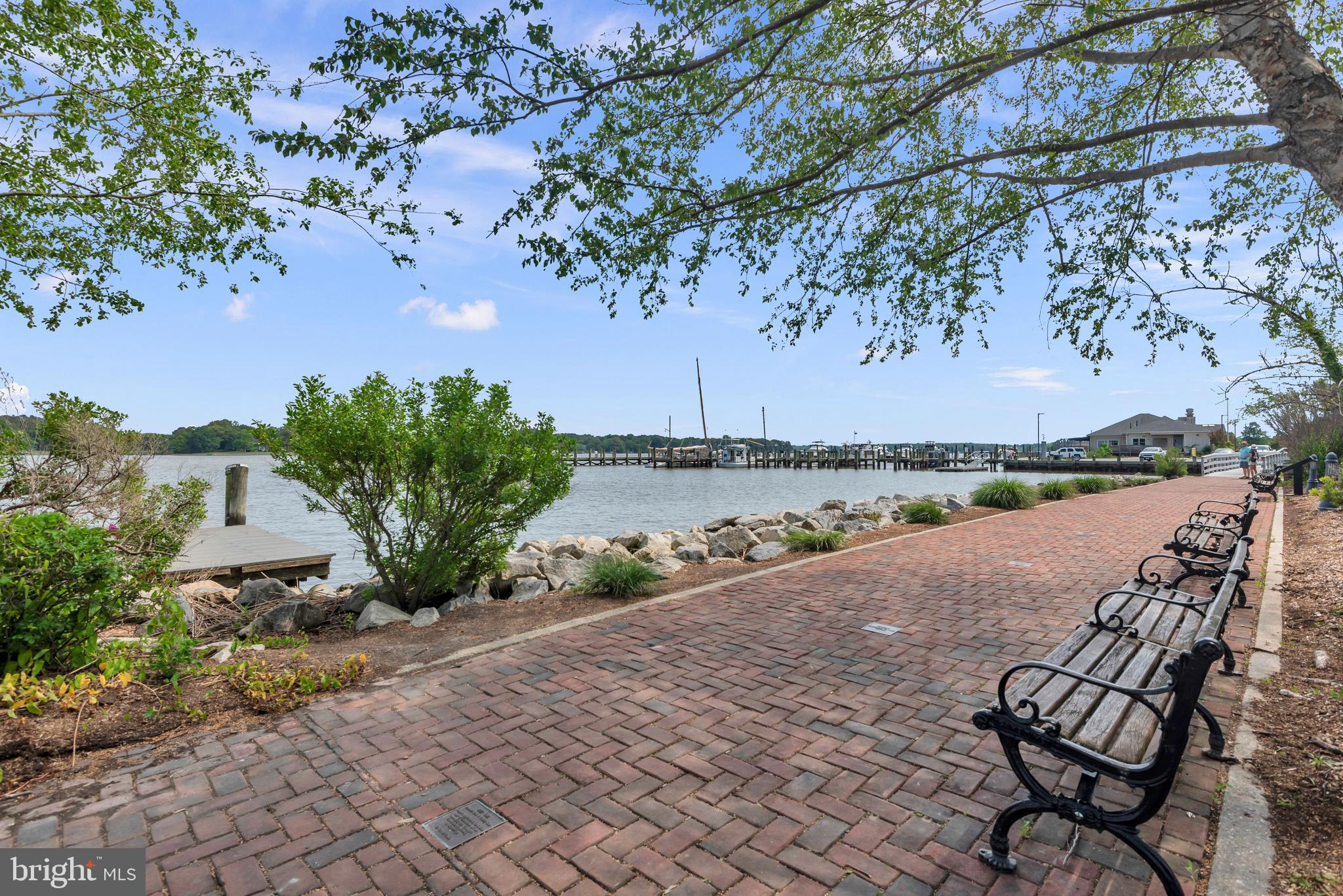 8629 Airy Hill Road Chestertown, MD 21620 - Photo 43 of 45 Nearby Chester River