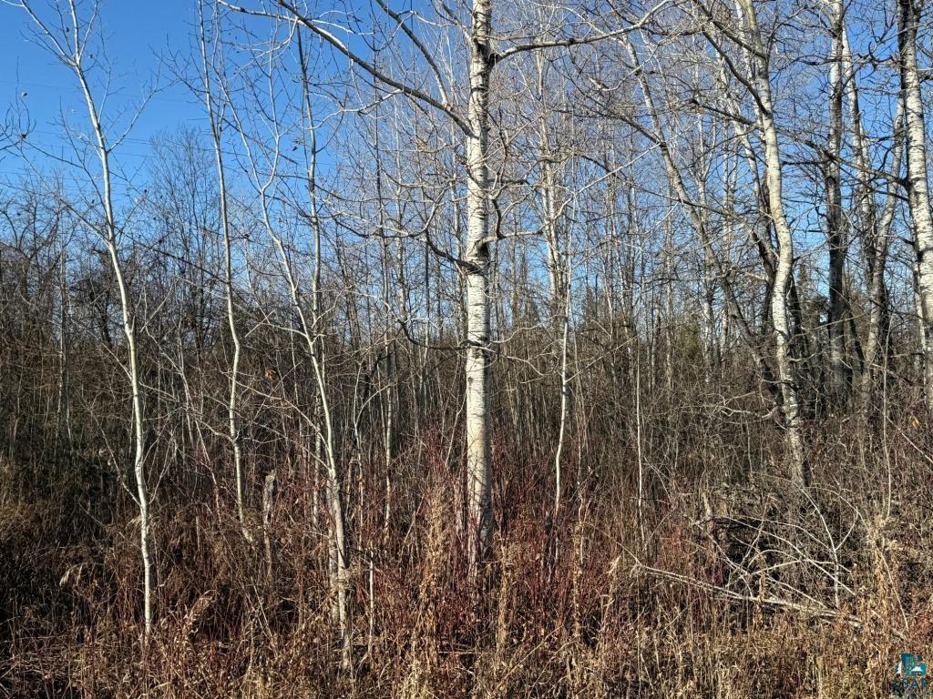 Parcel A Parcel A Parameter Road Deer River, MN 56636 - Photo 21 of 25