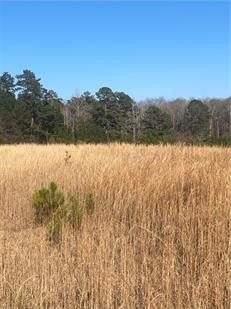 3495 Moores Mill Road Auburn, AL 36830 - Photo 1 of 2 Gallery Image 1