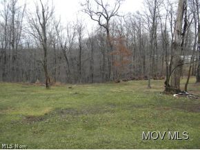 892 Champion School Road Belleville, WV 26133 - Photo 4 of 4 back yard