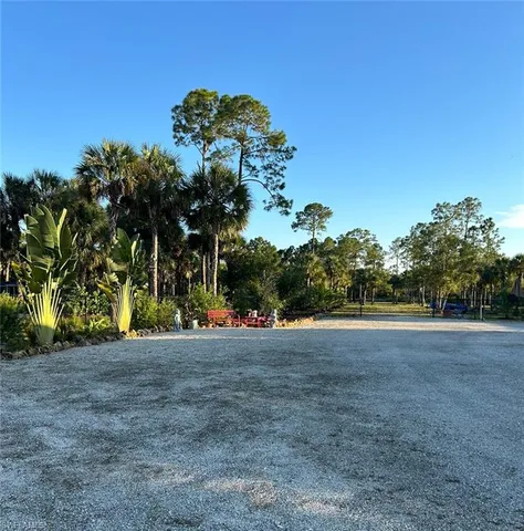 a view of dirt field with large trees