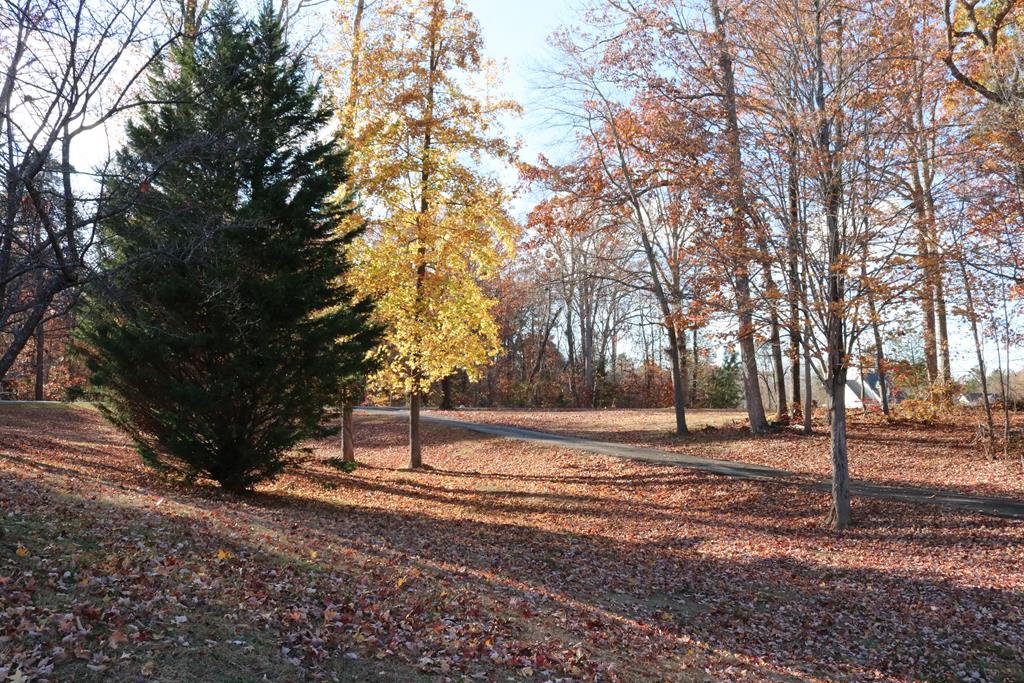 11863 Farmville Road Meherrin, VA 23954 - Photo 22 of 22 Gallery Image 22
