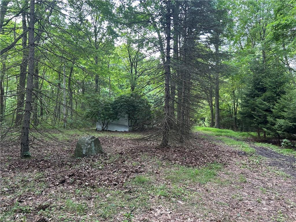 807 Branchton Road Boyers, PA 16020 - Photo 1 of 11 a view of a yard with a tree