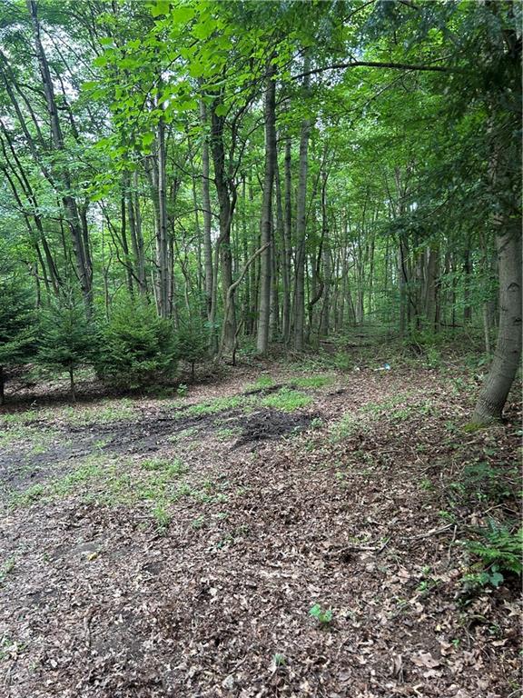 807 Branchton Road Boyers, PA 16020 - Photo 9 of 11 a view of outdoor space with green field and trees