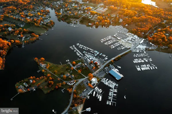 a picture of flowers outside of a house
