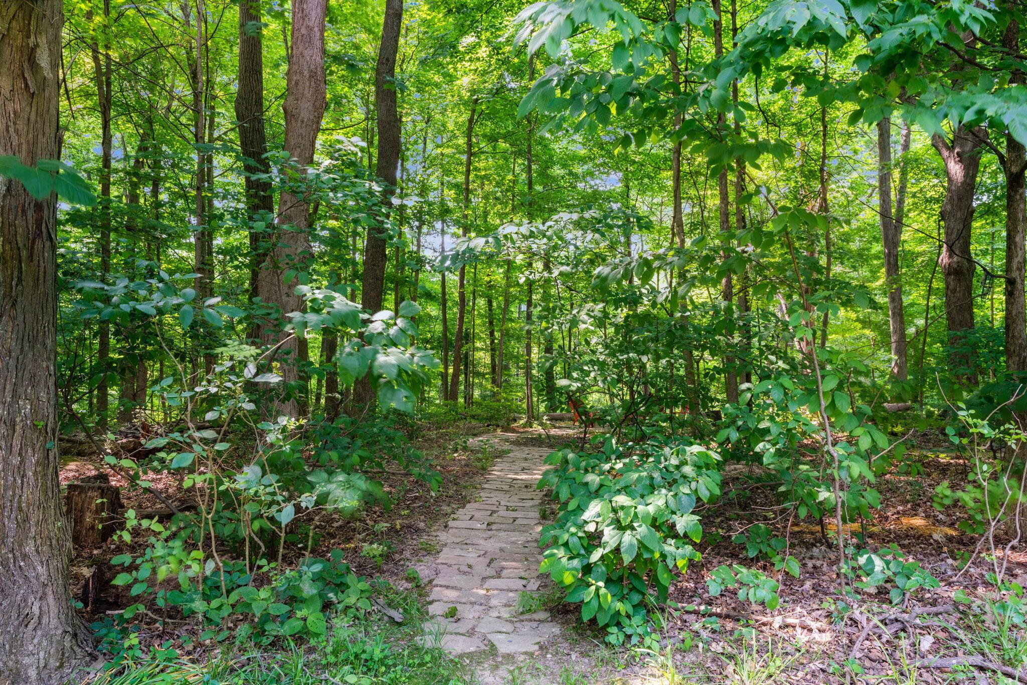 2423 Carriage Road Powell, OH 43065 - Photo 7 of 100 3.34 wooded acres comes with it's own walking/biking trail!
