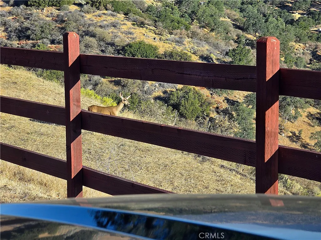 0 Zurich Tehachapi, CA 93561 - Photo 5 of 51 ...but, you'll need to share with the locals.
