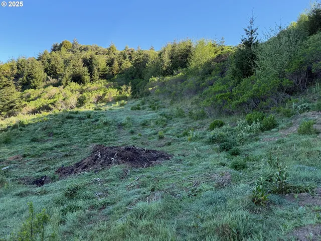 $475,000 | Dale Court, Unit 2, Brookings, OR 97415