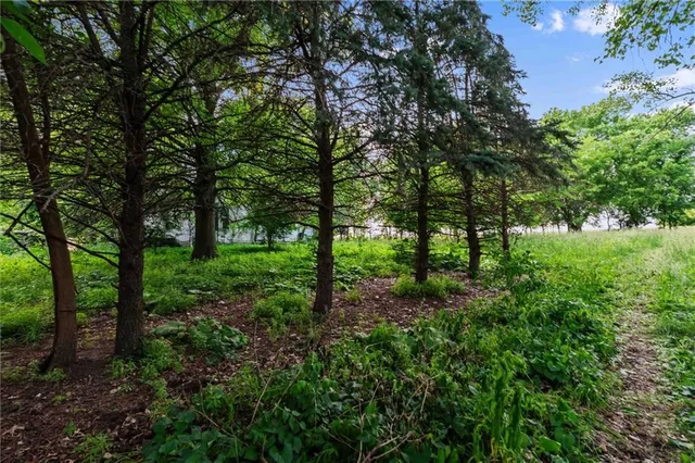 $325,000 | 15208 Northeast 124 Street, Kearney, MO 64060