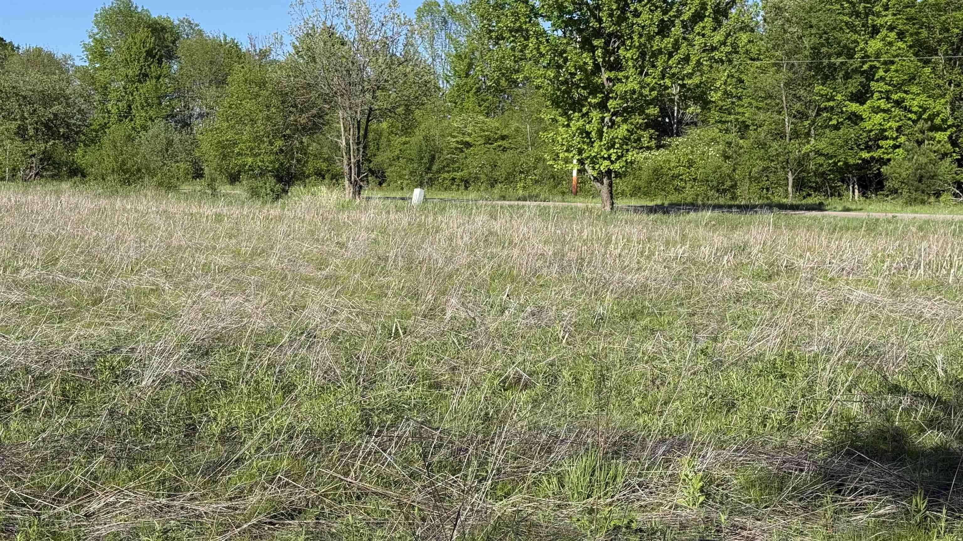 Lot 3 Eau Claire River Road Ringle, WI 54471 - Photo 26 of 28