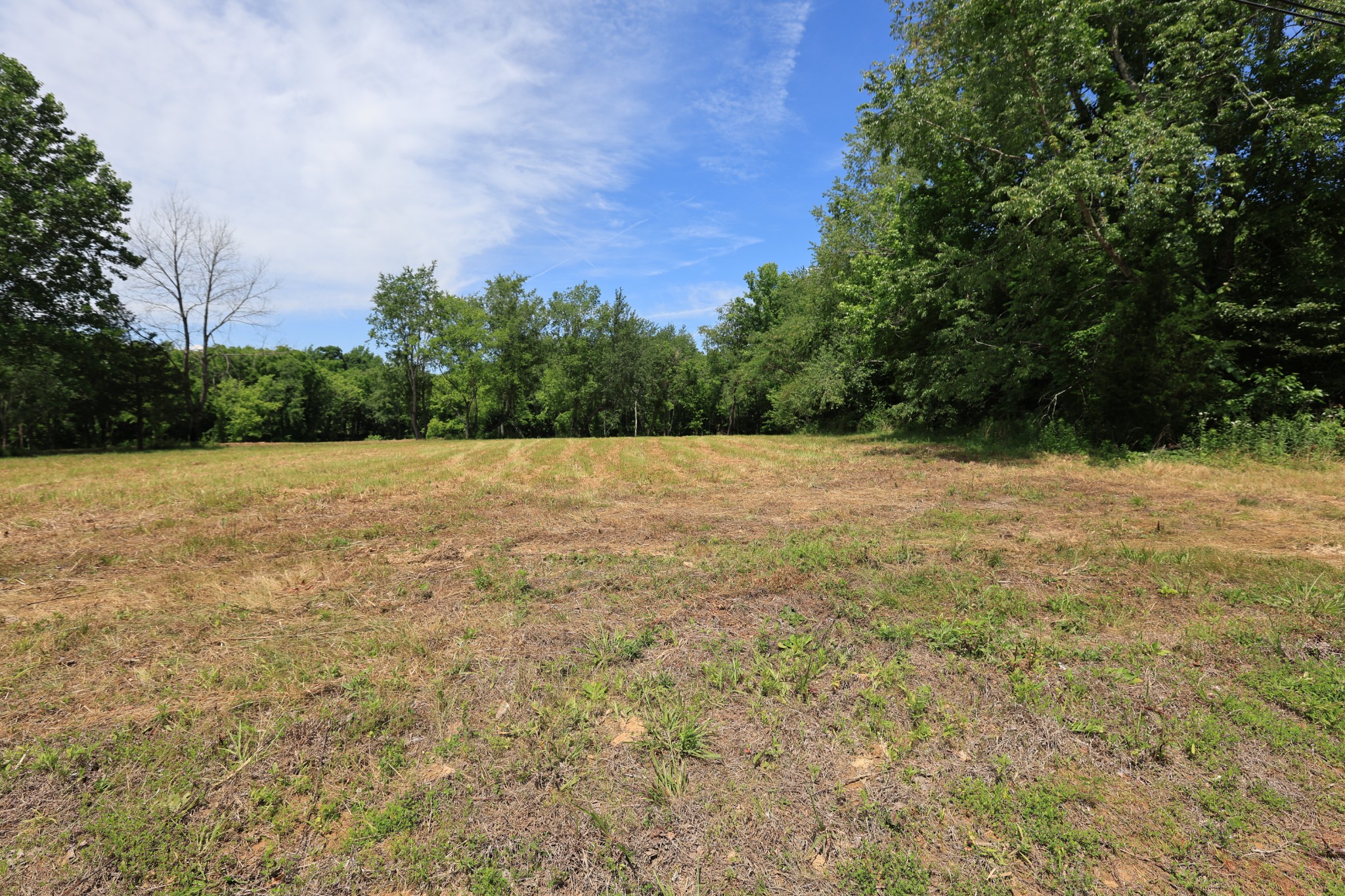 5 Poplar Ridge Lane Chapmansboro, TN 37035 - Photo 30 of 34 a view of plants with trees in background