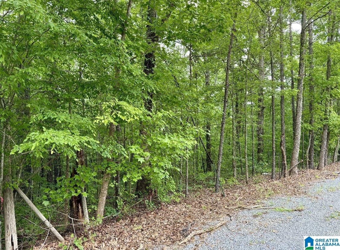201 North Norton Road, Unit 5 & 6 Sylacauga, AL 35151 - Photo 9 of 9